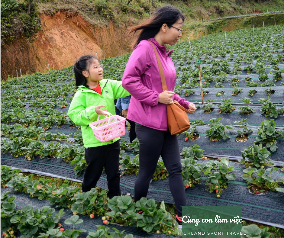 tour trải nghiệm chèo thuyền SUP Đà Lạt cho gia đình