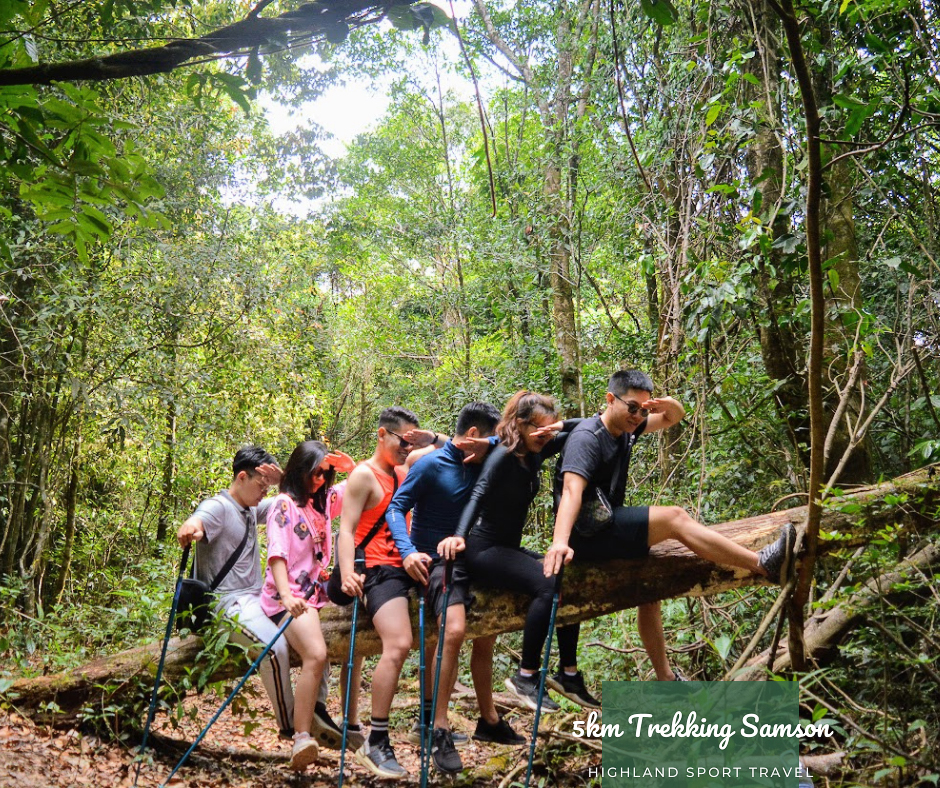 tour chèo SUP hồ Tuyền Lâm kết hợp Trekking