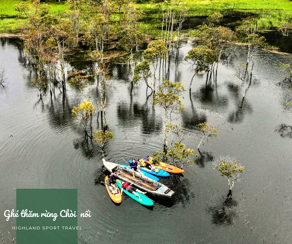 Chèo Thuyền Ngắm Lá Phong