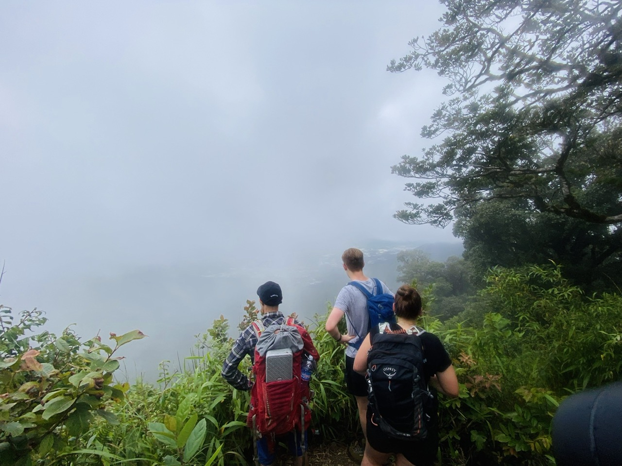Trekking & Camping Đà Lạt: Chuẩn Bị Một Chuyến Đi Qua Đêm