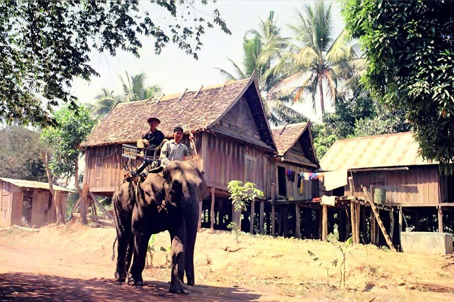 buon ma thuat viet nam