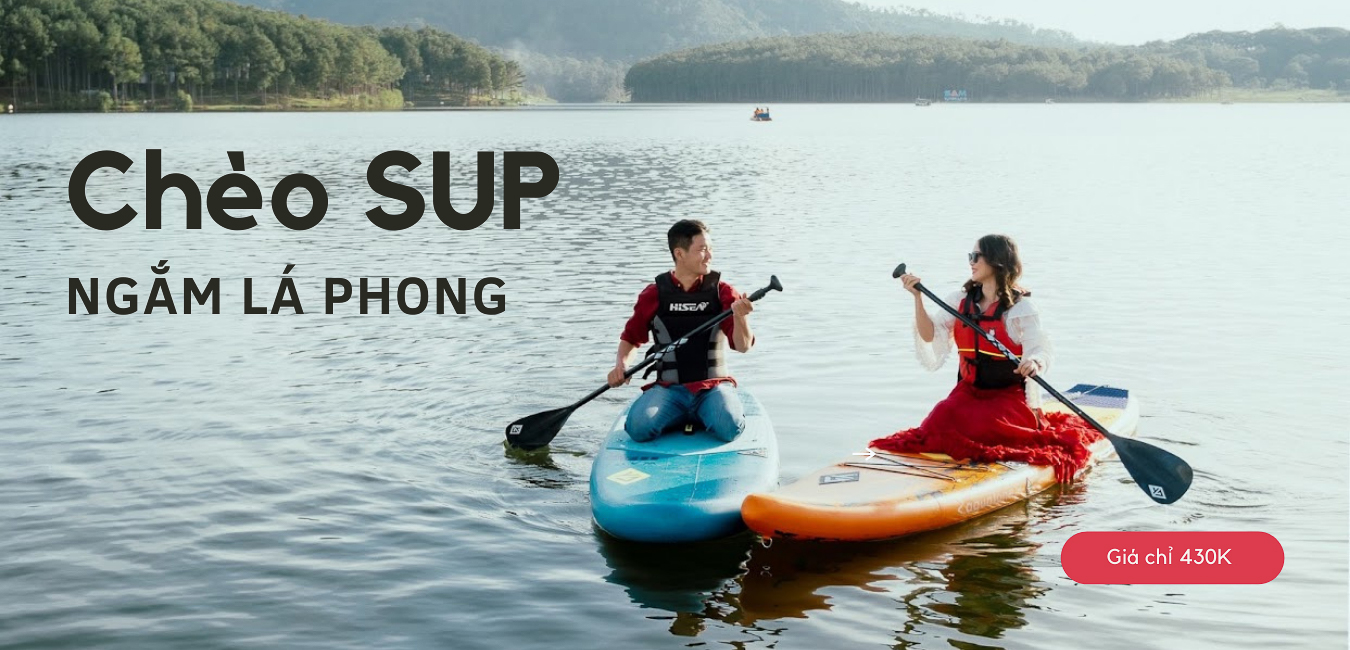 Chèo SUP Ngắm Lá Phong