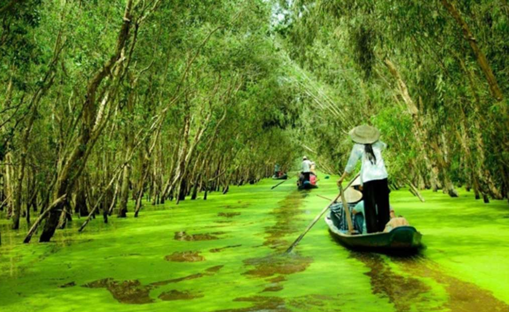 ĐÀ LẠT-CẦN THƠ-BẾN TRE